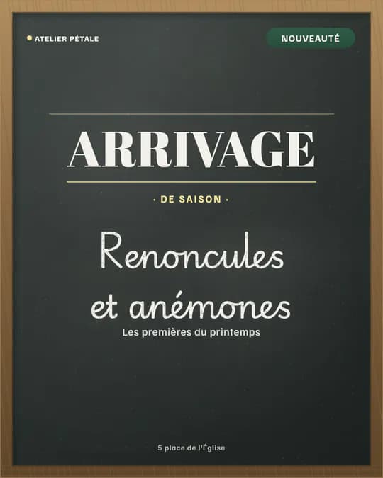 Visuel sans photo : « Arrivage » en grandes lettres, puis « Renoncules et anémones » à la craie sur l’ardoise
